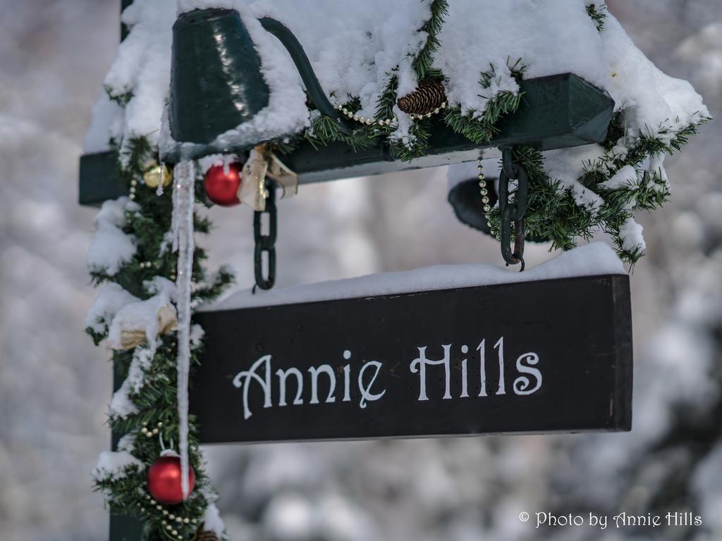 Annie Hills Bed & Breakfast Tateshina  Ngoại thất bức ảnh